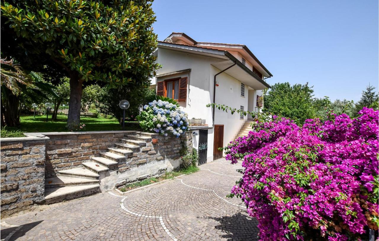 Cozy Home In Anguillara Sabazia With Kitchenette المظهر الخارجي الصورة